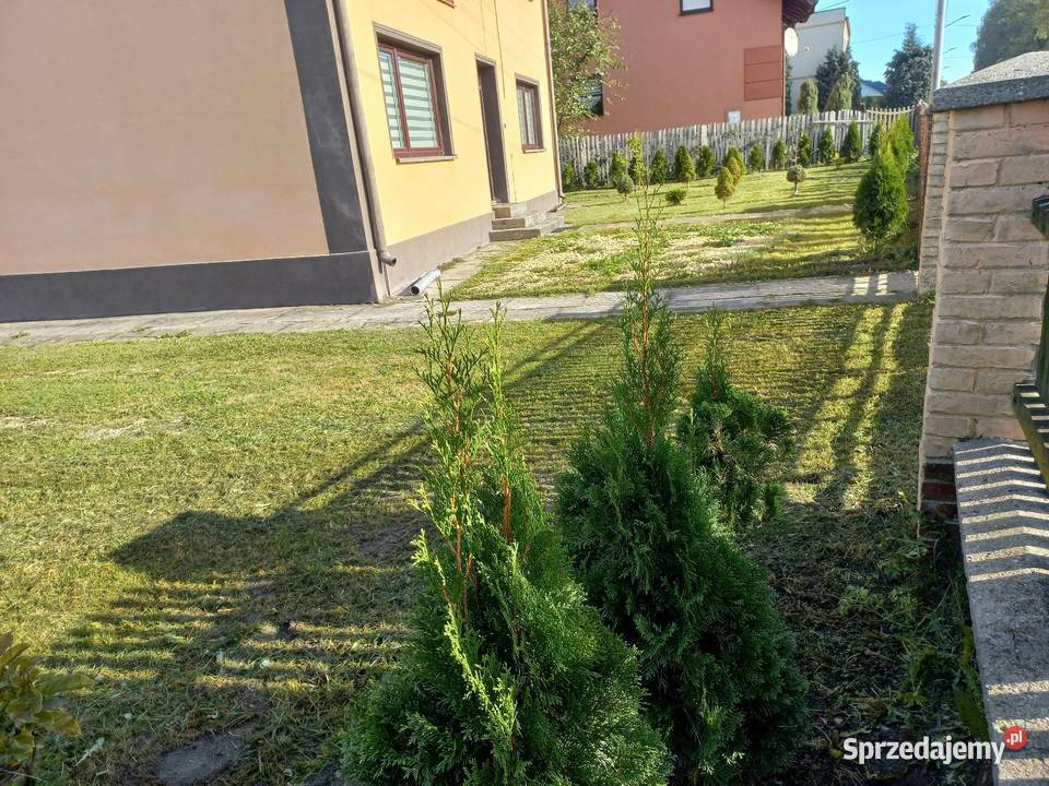 Dom piętrowy w Starokrzepicach sprzedam Starokrzepice