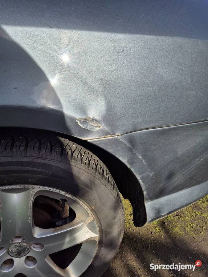 Peugeot 407 20 Hdi 2005r 264033km 407 Biniew