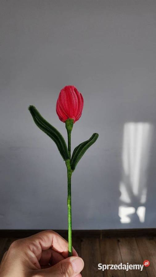 Tulipany z wyciorów 7 sztukę małopolskie Kraków sprzedam