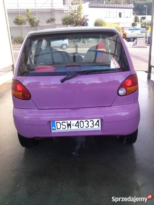 FIOLETOWY SZERSZEŃ Wałbrzych