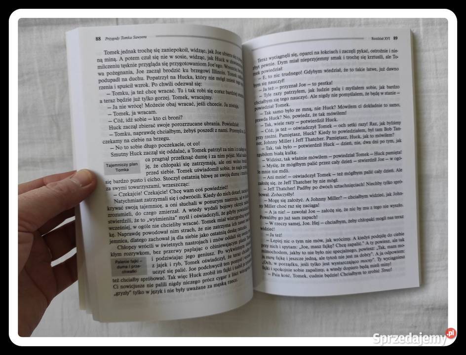 Mark Twain Przygody Tomka Sawyera lektura z mazowieckie Płock