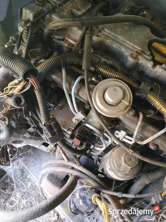 silnik kompetny 22 Diesel do Opla Frontera osobowe Łopienie-Jeże