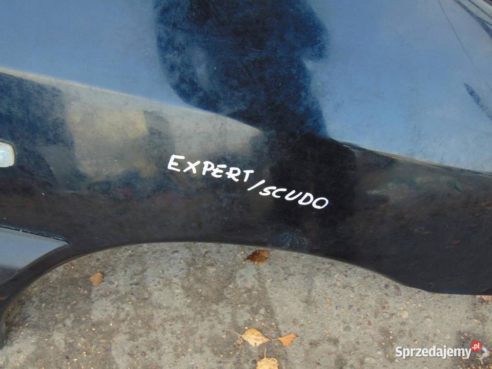 BŁOTNIK PRAWY PRZÓD EXPERT SCUDO I EXYB