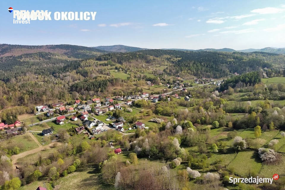 Duża działka 30 arów z 2 HA prywatnego lasu śląskie Las