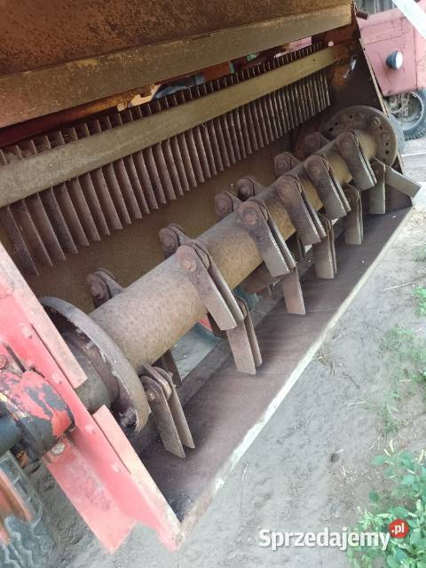 Bizon 56 Zbożowe Zwoleń