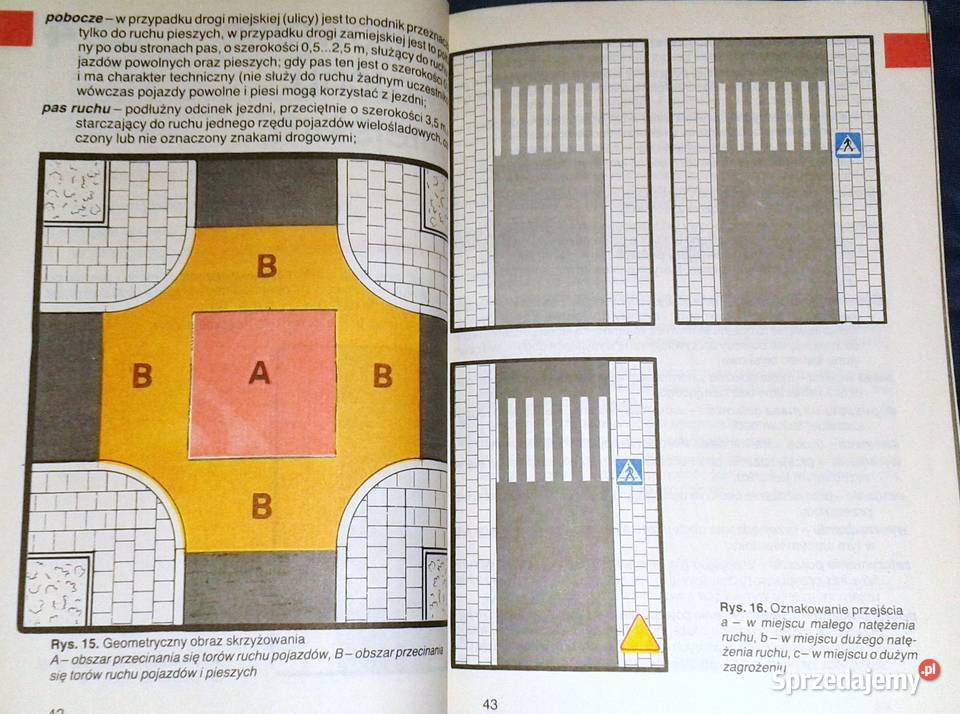 Chcę być kierowcą Jan Zasel Pozostałe