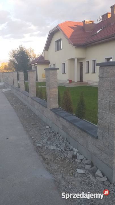 Kompleksowe wykonanie ogrodzeń Dębowiec