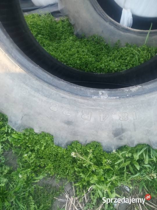 Opony 184 r38 Opony rolnicze kujawsko-pomorskie Kcynia