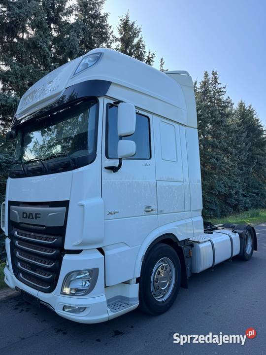 DAF XF 480 FT 4X2 wielkopolskie Wilczyna