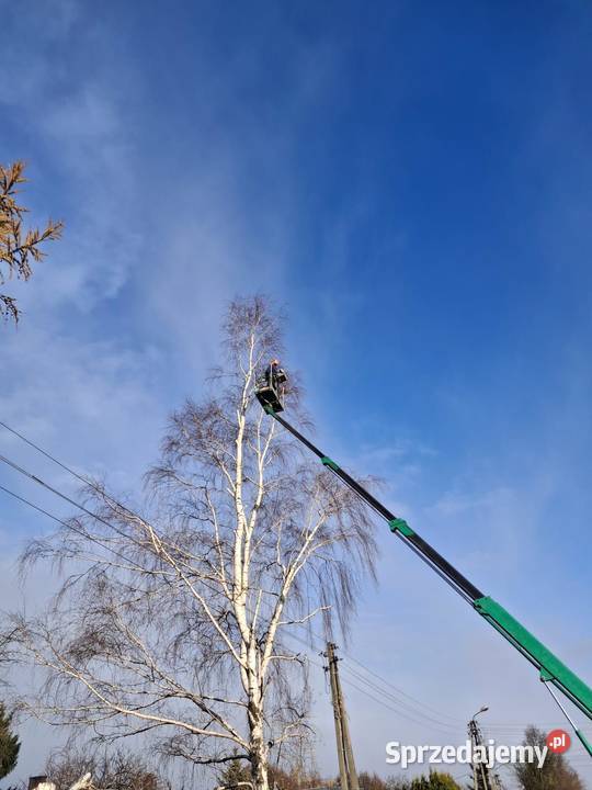 Wycinka drzew Przycinanie Zwyżka 20m Rębak Usługi ogrodnicze Tarnów