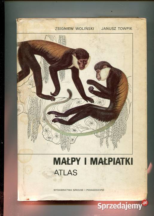 Małpy i małpiatki Atlas Szczecin