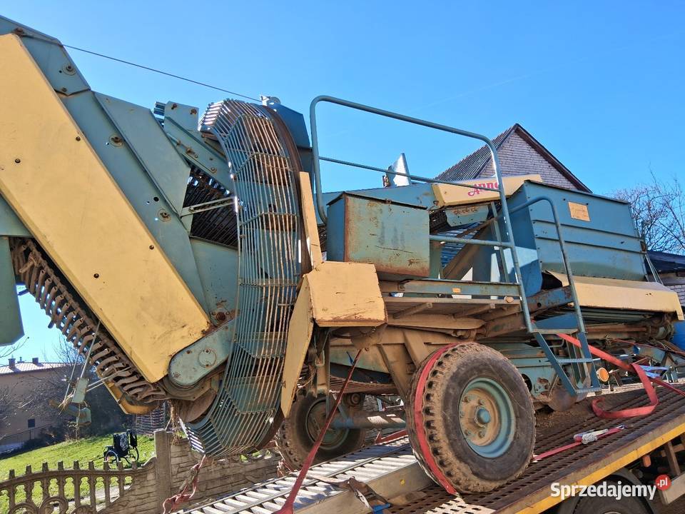 Kombajn ziemniaczany anna małopolskie Kwaśniów Górny