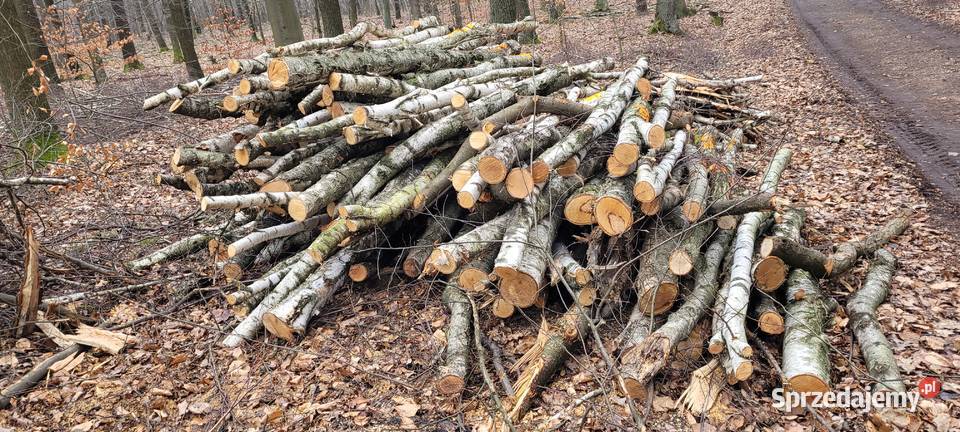 Drewno bukowe dębowe jesion brzoza Katowice sprzedam