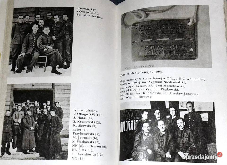 Zerwane sieci Antoni Borkowski miękka z obwolutą lubelskie Chełm