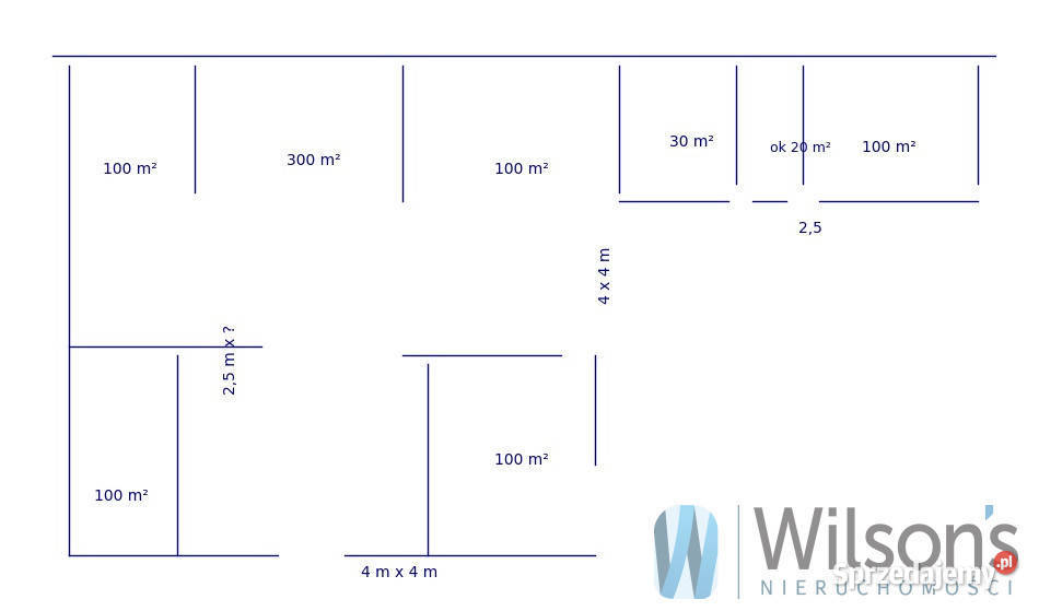 Lokal 750m2 Wypędy 750m2 sprzedam