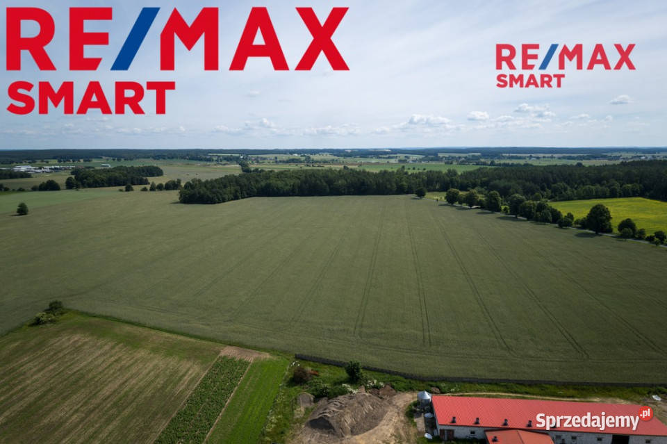 901 ha MPZP produkcja logistyka 1 S7