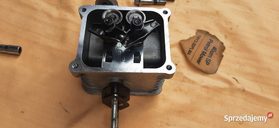 głowica do kosiarki BQ TRY35 SPLMA lubuskie Skwierzyna sprzedam