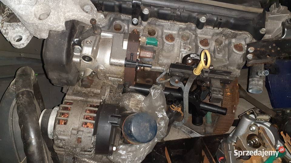 Silnik 15 Diesel Reno Taliaclio Tanio
