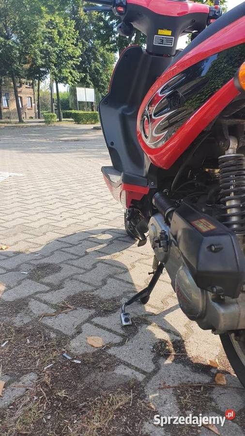 Skuter Zipp Steed 50 4t Wieleń