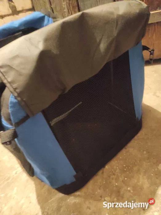 transporter kota Końskie