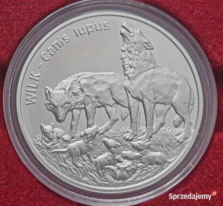 10 x 20 Zwierzęta śląskie Sosnowiec