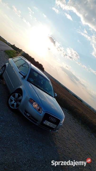 Audi A4 Avant 20 TDI 2007 A4 Drzewica