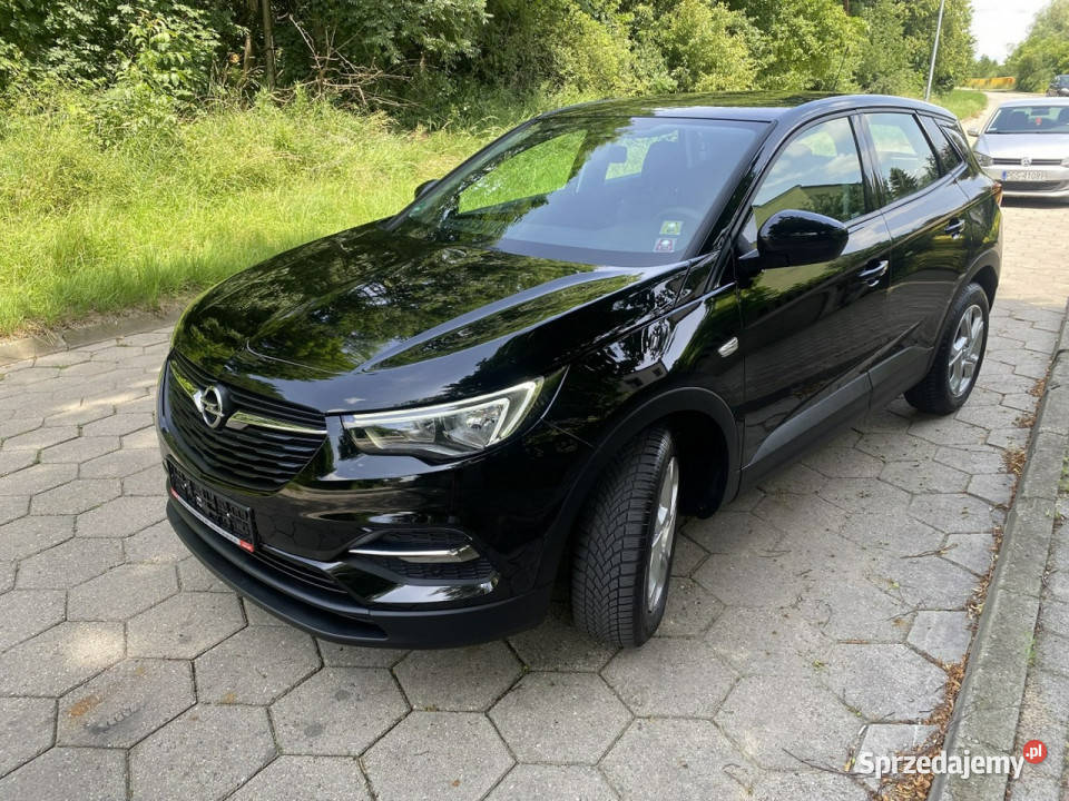 Opel Grandland X Opel Grandland X Opłacony Mały asystent pasa ruchu Gostyń sprzedam