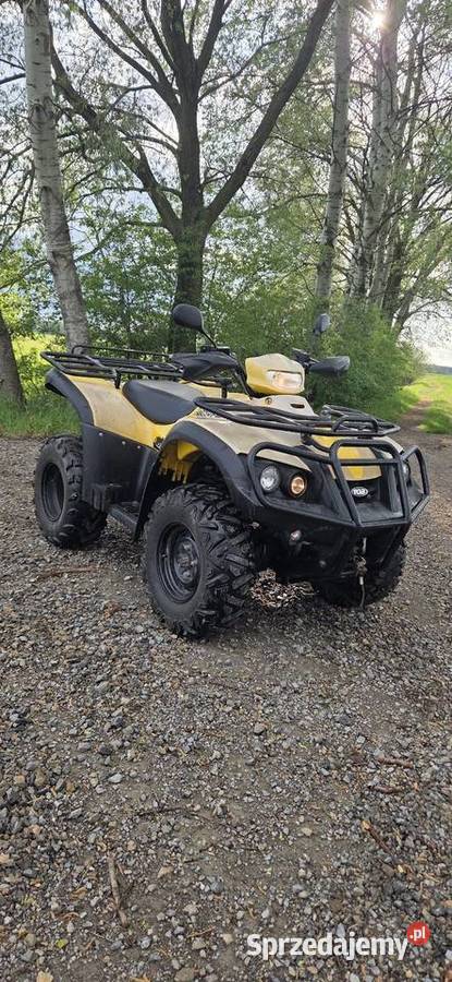 Quad Tgb Blade 425 44 Wyciągarka Homologacja podkarpackie Mielec