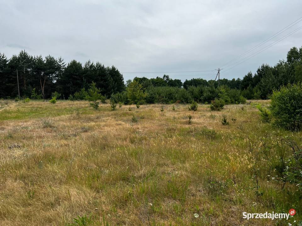 Działka budowlana 900m2 Łąkie