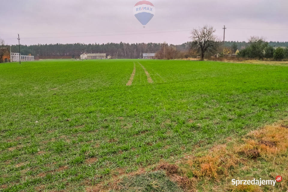 Działka Budowlana w Świnicach Warckich Świnice Warckie