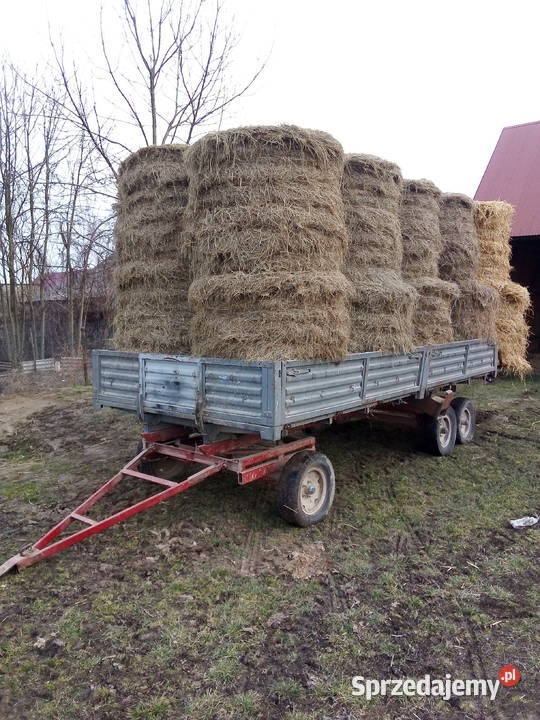 Przyczepa tandem sztywna trzyosiowa Bodzentyn