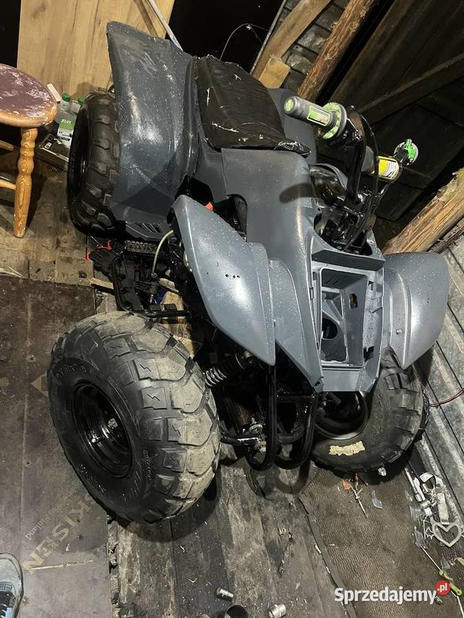 Quad Rok produkcji 2010 Łebień
