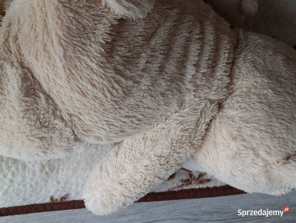 miś pluszak w odcieniach żółtego 90 Maskotki Poznań