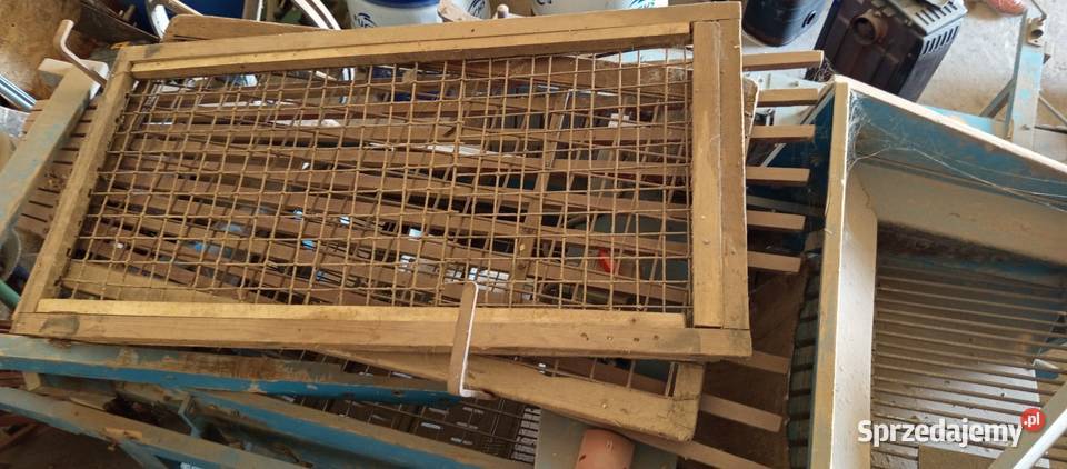 Sortownik do ziemniaków Gloria Przespolew Kościelny