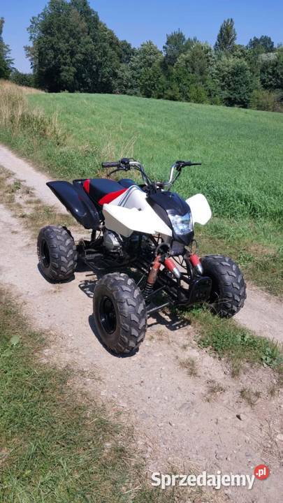 Bashan 250 manual Krosno