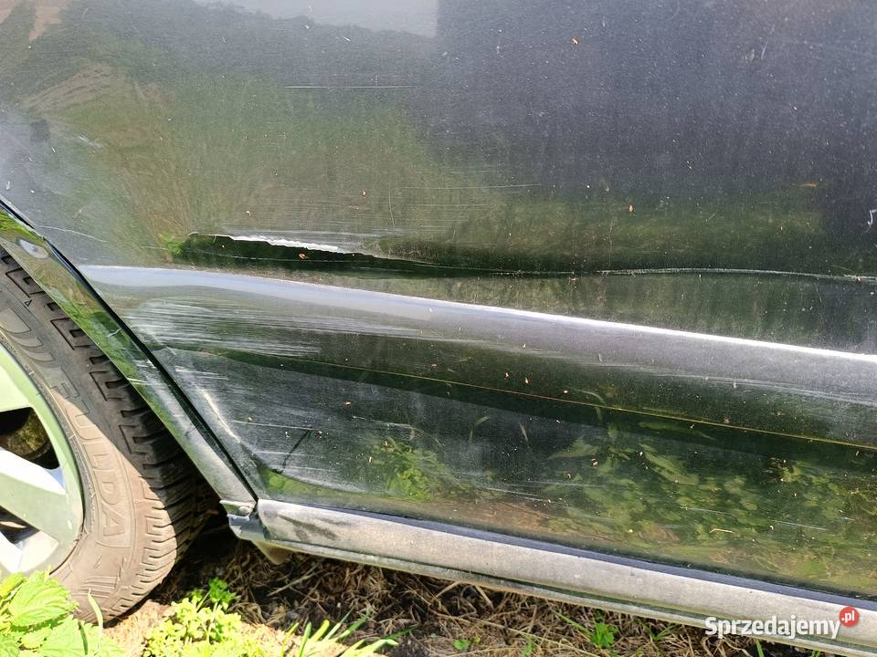 Drzwi Gołe Tył Prawy LZ9U Audi A4 B5 FL a30 śląskie Myszków