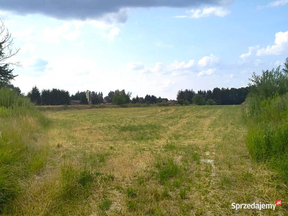 Ogłoszenie grunt Majdan Krasieniński 1500m2 Sprzedaż sprzedam
