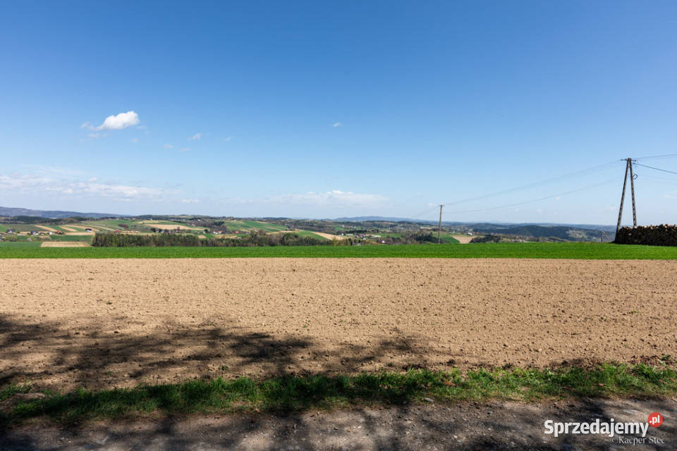 Na sprzedaż pastwisko zalesione w Jastrzębi leśna Jastrzębia sprzedam
