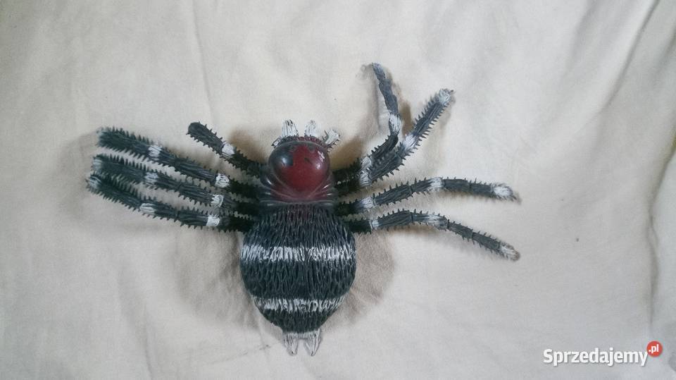 Pająk sztuczny maskotka mazowieckie Warszawa sprzedam