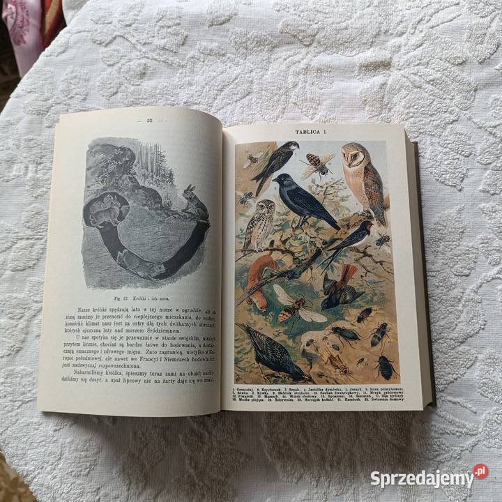 Bohdan Dyakowski Z naszej przyrody Katowice