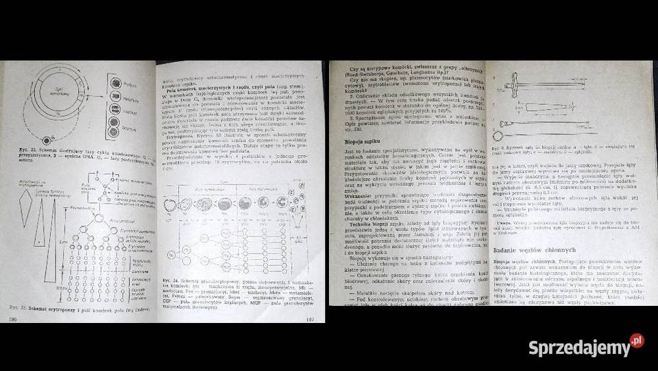 Podstawy hematologii lekarza praktyka Zdzisława Pozostałe lubelskie Chełm
