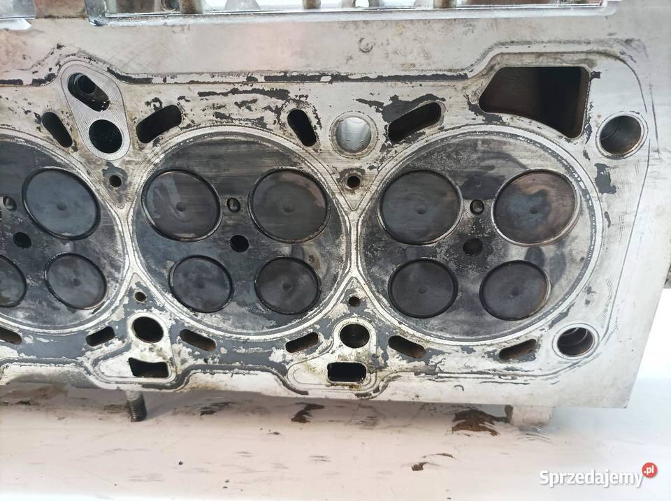 GŁOWICA KOMPLETNA 55565883 19 CDTI Opel Signum I świętokrzyskie