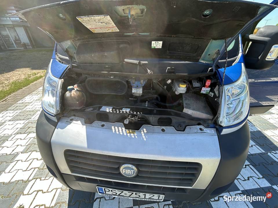 Ducato Maxi 23 diesel 2008 r nieuszkodzony Kaźmierz