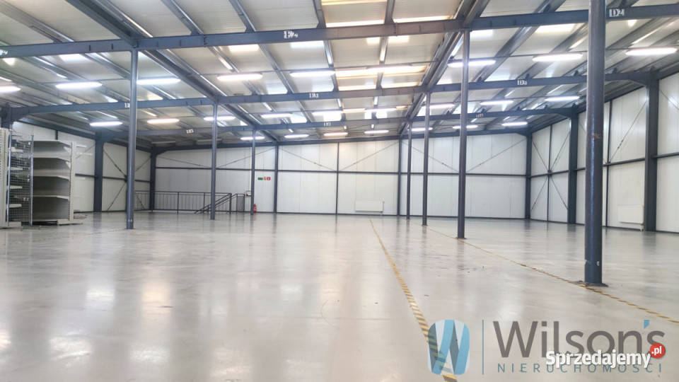 Lokal wynajmę 2800m2 Kajetany 2800m2