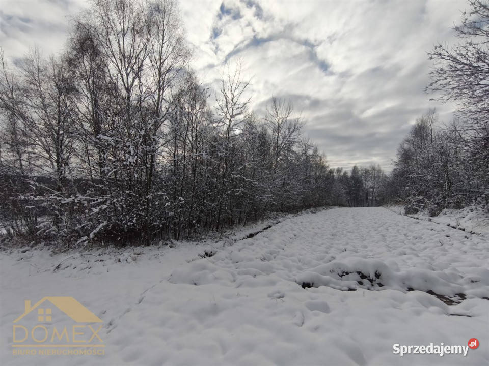 Działka Radlin 3467m2