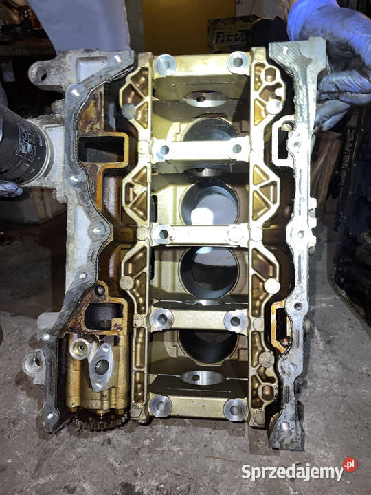 blok silnika Ford 20 benzyna 145 AOWA Lgoczanka