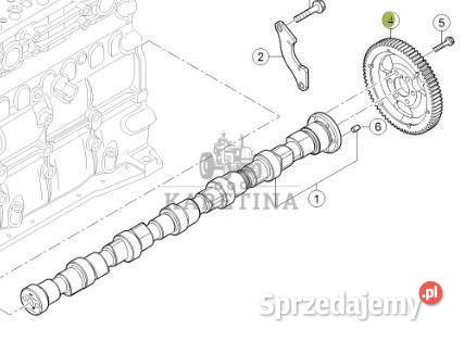 Claas AXION 810 850 870 Wałek Rozrządu Koło Pozostałe Jastrzębniki