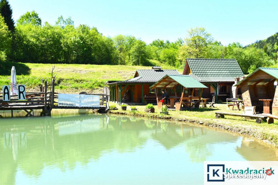 Działka 11659m2 Krzywe