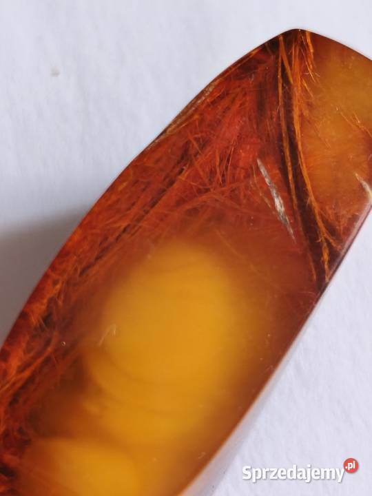 Bursztyn Inkluzja Roślinna Pozostałe