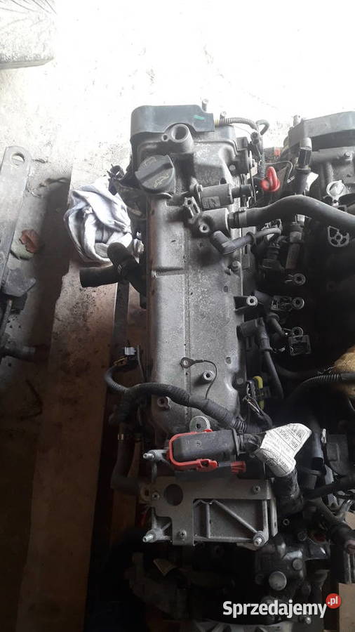 Silnik Fiat Panda 12 169A 4000 osobowe mazowieckie Zwoleń